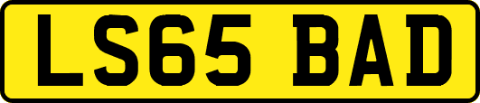 LS65BAD