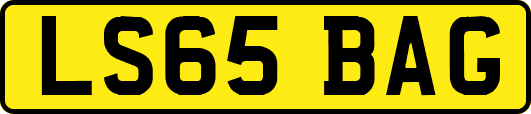 LS65BAG