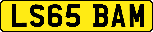LS65BAM