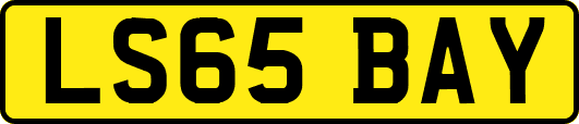 LS65BAY