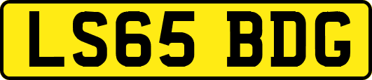 LS65BDG