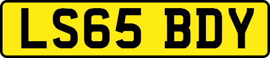 LS65BDY