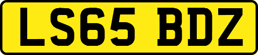 LS65BDZ