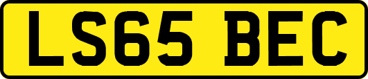 LS65BEC