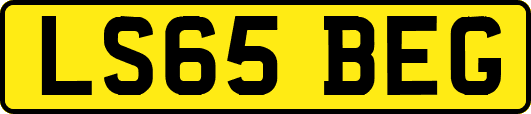 LS65BEG