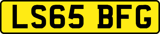 LS65BFG