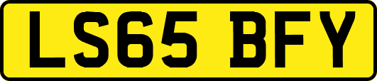 LS65BFY