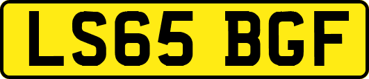 LS65BGF