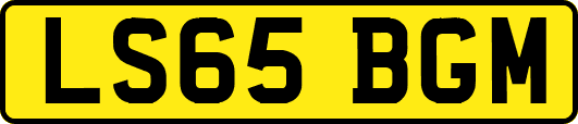 LS65BGM