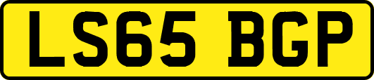 LS65BGP