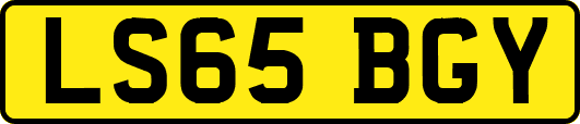 LS65BGY
