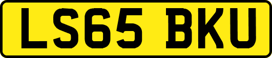 LS65BKU