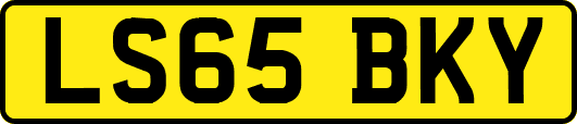LS65BKY