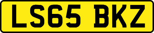 LS65BKZ