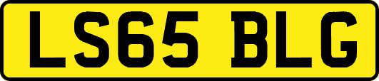 LS65BLG