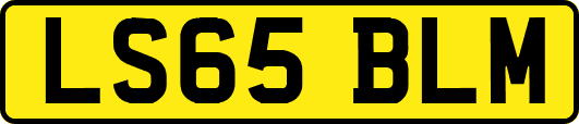 LS65BLM