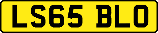 LS65BLO