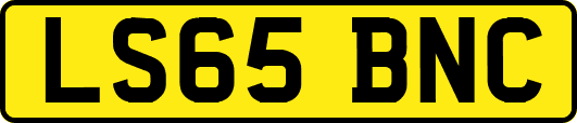 LS65BNC