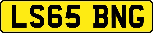 LS65BNG
