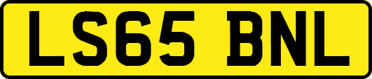 LS65BNL