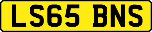 LS65BNS