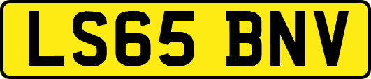 LS65BNV