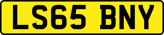 LS65BNY