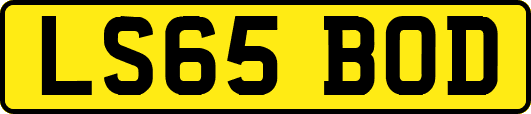 LS65BOD