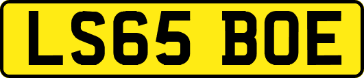 LS65BOE