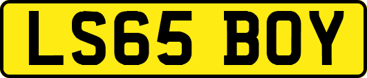 LS65BOY