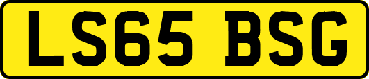 LS65BSG