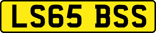 LS65BSS