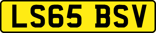 LS65BSV