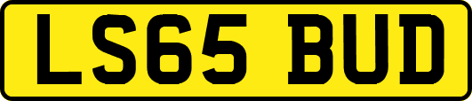 LS65BUD