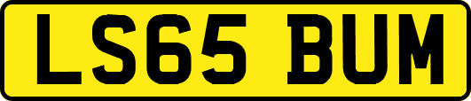 LS65BUM