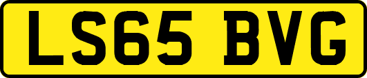 LS65BVG