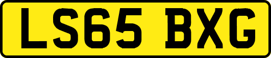 LS65BXG
