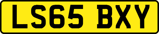 LS65BXY