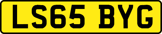 LS65BYG