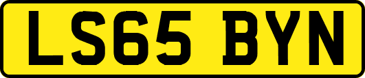 LS65BYN