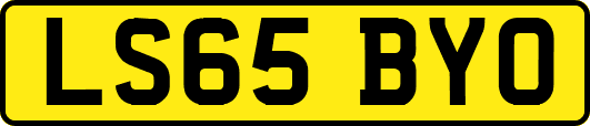 LS65BYO