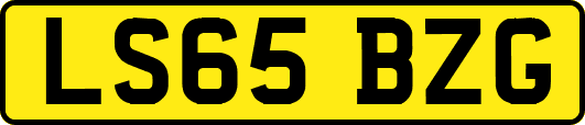 LS65BZG