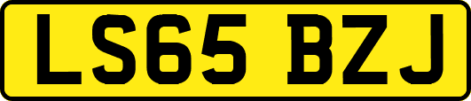LS65BZJ