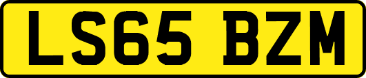 LS65BZM