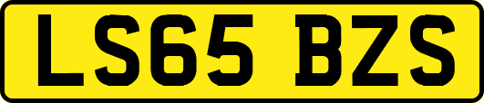 LS65BZS