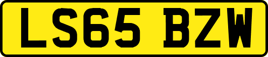 LS65BZW