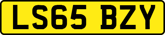 LS65BZY