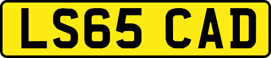 LS65CAD