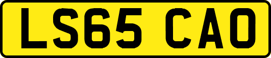 LS65CAO