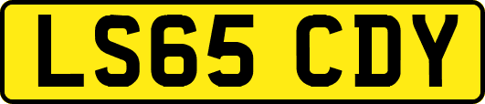 LS65CDY